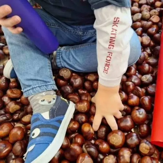 Der Herbst ist da – Spiel mit Naturmaterial in der Krippe „Am Hochfeld“