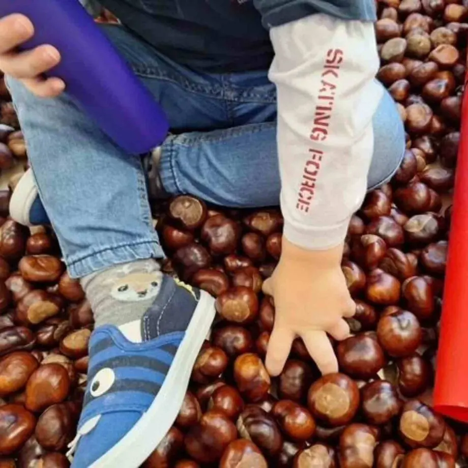 Der Herbst ist da – Spiel mit Naturmaterial in der Krippe „Am Hochfeld“