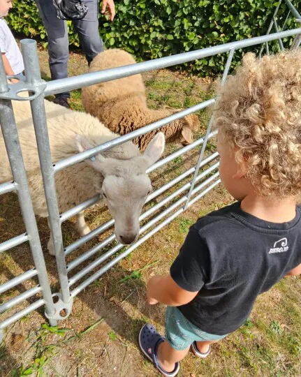 Die Wohlfühlschafe zu Gast in unserer Integrativen Kinderkrippe Germering
